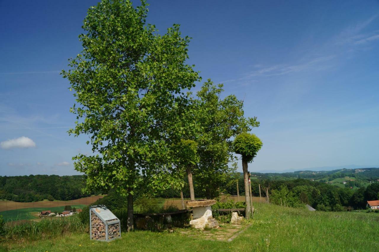 Vila Ferienhaus Schonmaier Gnas Exteriér fotografie